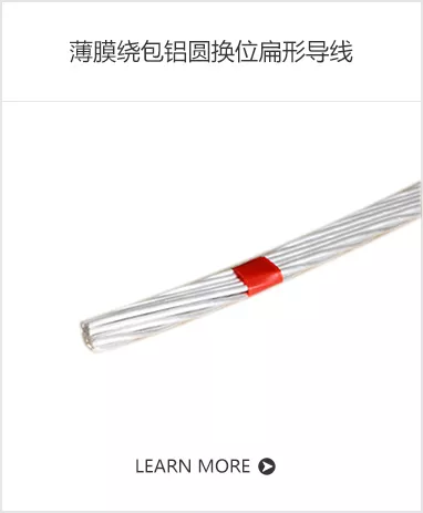 薄膜绕包铝圆换位扁形导线.jpg